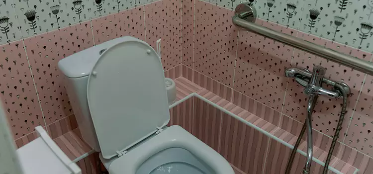 Meeting Diverse Needs With Accessible Restroom Solutions in Milpitas, CA