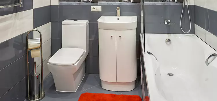 Hansgrohe Shaving Mirror Milpitas