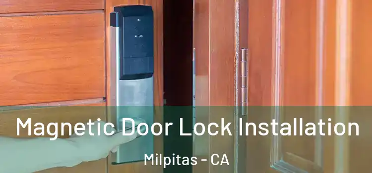  Magnetic Door Lock Installation Milpitas - CA