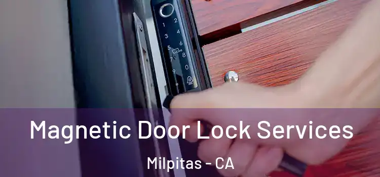 Magnetic Door Lock Services Milpitas - CA